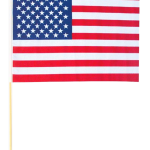 American Flag Plastic 1