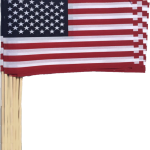 SO103 12 x 18 American Flag