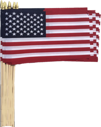 SO103 12 x 18 American Flag