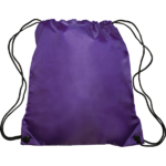 PR34 Backpack Purple 600